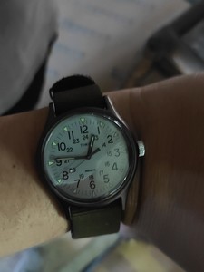 Timex天美时石英机芯男表40mm表径，钢表壳，橄榄绿