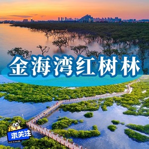 北海金海湾红树林生态旅游区门票+观光车票！