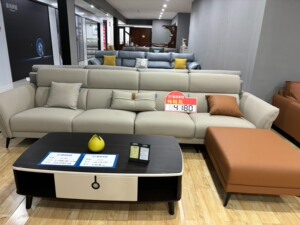 一款现代简约风格的沙发，星港品牌，颜色和款式多样。该沙发采用