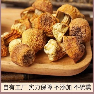 福建古田高品姬松茸干货云南特产食用野生菌菇蘑菇松茸巴西菇特级
