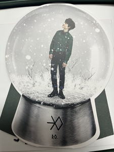 EXO 十二月的奇迹小卡  D.O.专辑水晶球