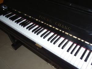 包邮新款限量促销家庭教学色木立式88键韩国英昌钢琴惊喜价7600元