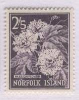 ■■花卉1枚贴票1962诺福克群岛SC2.25美元■■
