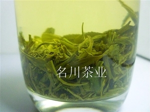 新茶蒙顶山雨前【直毛峰】四川茶叶素茶绿茶茶楼茶馆用茶500g