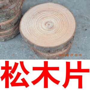 建筑模型材料原生态大松树片直径15-25CM木片diy手工材料圆木圆片