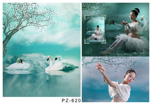 摄影背景盘子古装写真背景影棚拍照加厚无缝帆布PZ-620白天鹅之梦