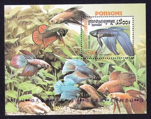 [临天集藏]柬埔寨邮票 2000年鱼类小型张.暹罗斗鱼  新L