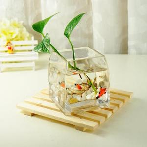 水培水养水栽铜钱草水仙花花盆花瓶绿色植物宜家风格小金字塔 阿里巴巴找货神器 水培水养水栽铜钱草水仙花花盆花瓶绿色植物宜家风格小金字塔 阿里巴巴找货神器