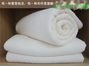 新疆优质新纯棉花被棉芯棉胎垫被褥子学生春秋冬被夏季空调被定制