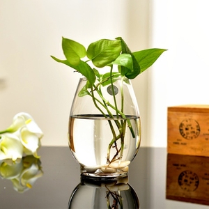 玻璃水培植物花瓶花盆透明办公室养花绿萝富贵竹水养鱼缸器皿容器