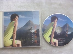 唱片梁咏琪-赤道燃烧 非洲写真 VCD伴唱录影带