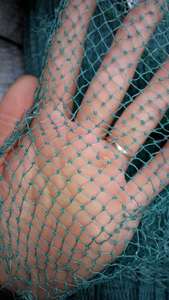 渔网撒网 拉网 拦鱼网 拦河网 有结网布 鱼笼网布
