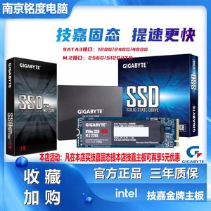 替影驰 技嘉120G 256G 480G 500G猛快盘M.2 NVME PCI3.0 固态硬碟