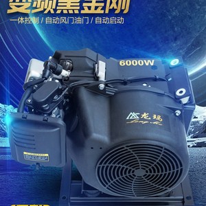 电动汽车增程器静音变频增程器48v60v72v三四轮车増程发电机龙玛