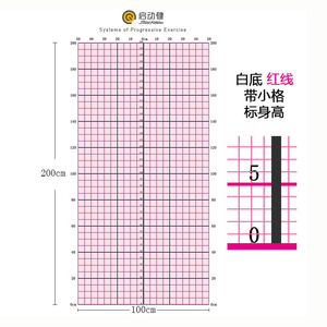 新版多色b网格线体姿图体态评估背景墙贴纸健身姿势对比测量表壁