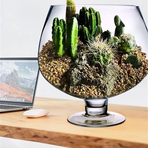 酒杯小缸鱼型鱼缸加厚玻杯透明办公室客厅创意酒杯式高脚璃金鱼