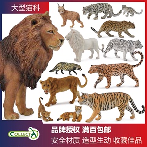 CollectA猫科动物 仿真模型玩具 狮子鬣狗老虎雪豹猎豹胡狼耳廓狐