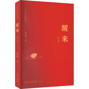 醒来 修订本 郭文斌 正版书籍小说畅销书 新华书店旗舰店文轩官网 长江文艺出版社