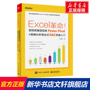 Excel革命!超级数据透视表Power Pivot与数据分析表达式DAX快速入门 林书明 正版书籍 新华书店旗舰店文轩官网 电子工业出版社