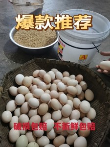 正宗农家散养新鲜50枚土鸡蛋笨鸡蛋草鸡蛋溜达鸡蛋孕妇鸡蛋可孵化