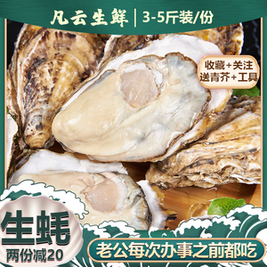 生蚝鲜活刺身牡蛎超大新鲜生吃海蛎子特大乳山大连海鲜水产3-5斤