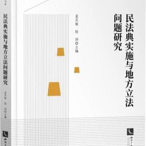 2022新书 民法典实施与地方立法问题研究 孟庆瑜 陆洲 著 知识产#