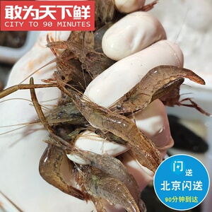 500g 仅限北京闪送 小河虾 新鲜 鲜活 淡水 水产 活虾 大号