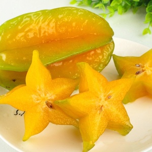 福建漳州杨桃香甜可口汁多新鲜时令杨桃树上熟特产水果下河杨桃