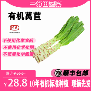 一分田有机莴苣莴笋 约500g 新鲜蔬菜生鲜套餐 配送 【顺丰速运】