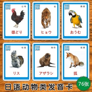 日语动物类单词发音卡片闪卡宝宝儿童启蒙早教幼儿园教师日文教具