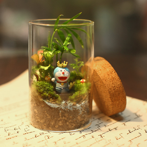 批发微景观玻璃瓶 苔藓瓶 透明玻璃多肉植物花瓶 软木塞密封罐