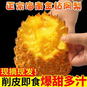 当季水果海南特产现摘新鲜手撕无眼台湾香水菠萝10斤金钻凤梨包邮