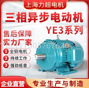 上海力超电机 Y YX3 YE2 YE3系列高效率三相异步电动机国标马达