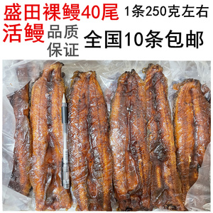 盛田寿司料理鲜鳗鱼蒲烧烤40尾鳗鱼无汁鳗鱼日式烤鳗鱼新鲜品质好