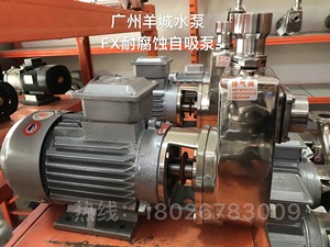 广州羊城水泵40FX-18耐腐蚀自吸泵污水处理泵工业化工泵耐酸碱泵