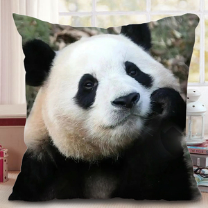 网红大熊猫福宝周边短毛绒抱枕方形靠枕双面送人送朋友居家靠垫