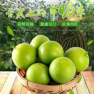 青枣苹果枣牛奶枣漳州水果特产台湾大青枣贵妃枣清甜多汁孕妇水果