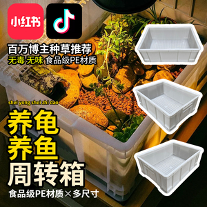 乌龟周转箱过滤箱养龟鱼缸养鱼加厚塑料白色龟箱龟缸长方形专用箱