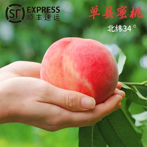 脆桃水蜜桃山东脆桃农家自产自然成熟应季水果孕妇可食