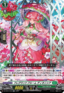 VG 卡片战斗先导者 RR  DZ-BT01/046 芬芳花开 迪奥妮西娅