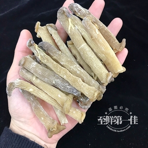 原色大沙虫干海肠沙肠子海人参海虫干货海鲜广东煲汤材料餐饮50g