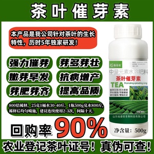 茶叶茶树专用叶面肥料催芽促芽绿叶增产增厚药剂素红绿茶水溶肥料