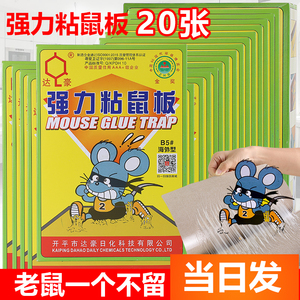 达豪B5海外型粘板强力粘鼠胶捕捉小家用老鼠板捕鼠笼灭鼠20片包邮