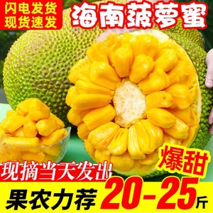菠萝蜜海南三亚黄肉菠萝蜜10-45斤整箱单个热带新鲜水果甜菠萝木