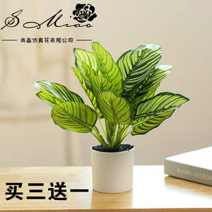 迷你桌面摆件仿真叶子假绿植盆栽创意室内仿真花人造植物客厅装饰