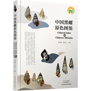 【书】中国黑螺原色图鉴 进化论生物学书籍 水生生物图鉴生物标本采集与制作 了解中国淡水腹足类多样性 黑螺科普书籍研究进展