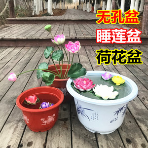 塑料花盆睡莲碗莲花家用阳台庭院特大号圆形加厚水养培无孔荷花盆