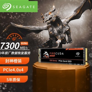 Seagate/希捷 固态硬盘SSD 2TB/4TB 酷玩530 M.2 NVMe PCIe4.0x4