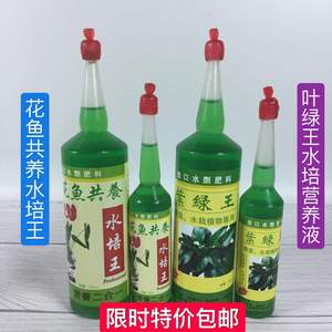 花鱼共养水培王叶绿王植物营养液通用型水养肥料绿萝发财树富贵竹