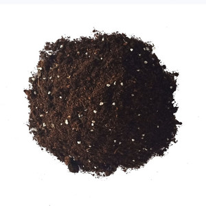 君子兰用腐殖土自配泥炭土主要成分泥炭土珍珠岩进口椰糠等